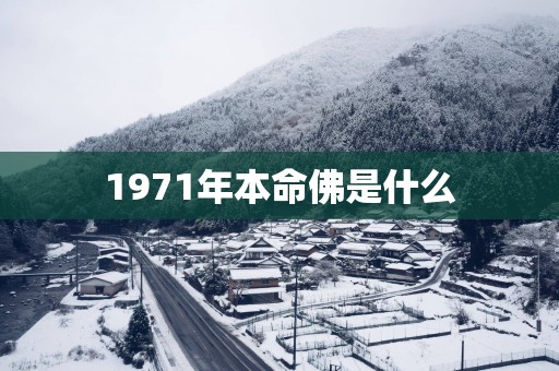 1971年本命佛是什么