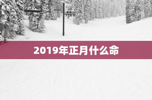2019年正月什么命