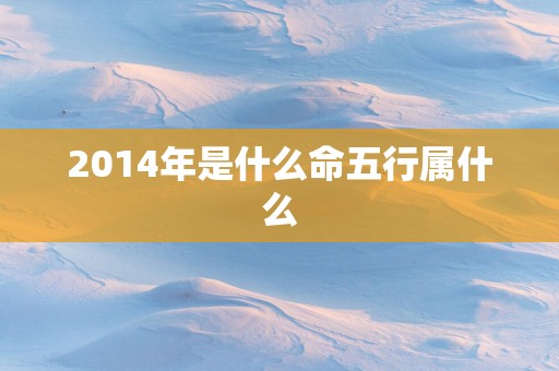 2014年是什么命五行属什么