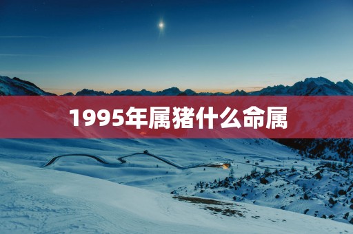 1995年属猪什么命属