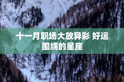 十一月职场大放异彩 好运围绕的星座