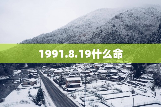 1991.8.19什么命