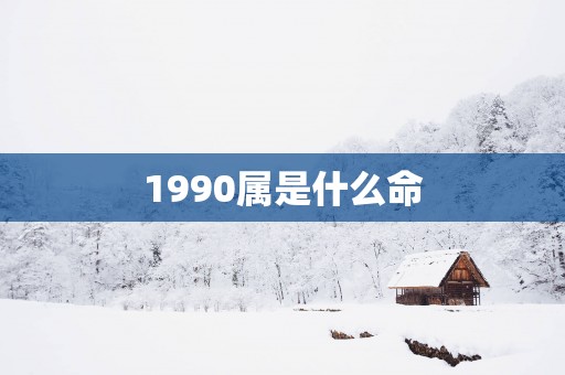 1990属是什么命