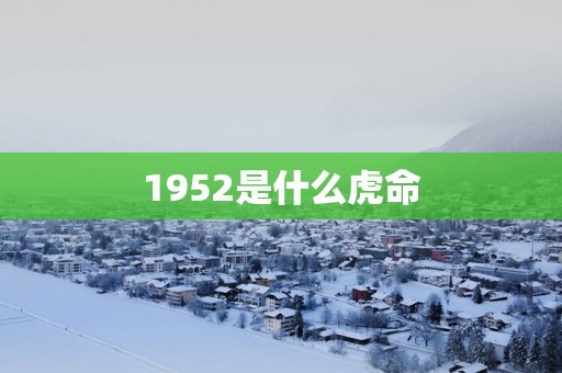 1952是什么虎命