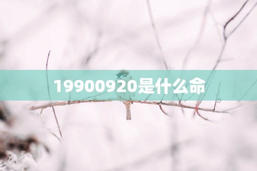 19900920是什么命