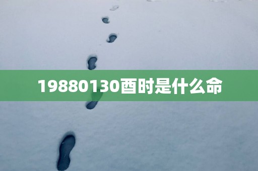 19880130酉时是什么命