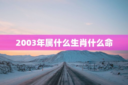 2003年属什么生肖什么命