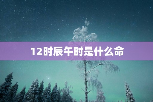 12时辰午时是什么命