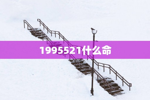 1995521什么命