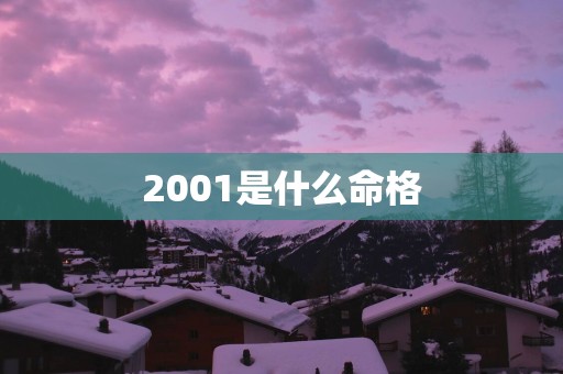 2001是什么命格