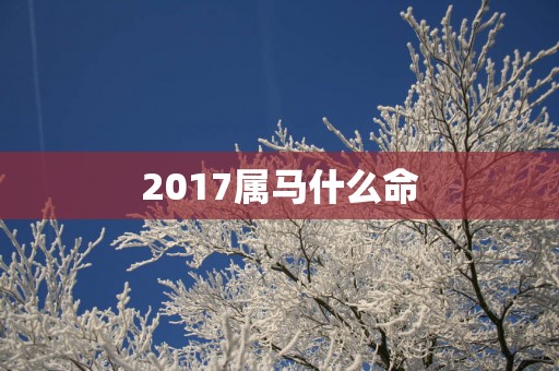2017属马什么命