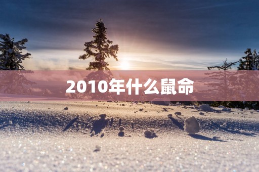 2010年什么鼠命