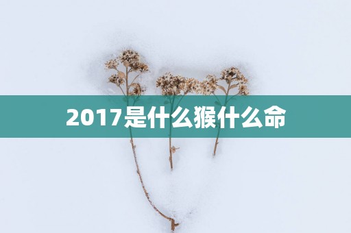2017是什么猴什么命