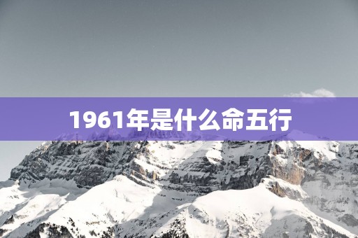 1961年是什么命五行