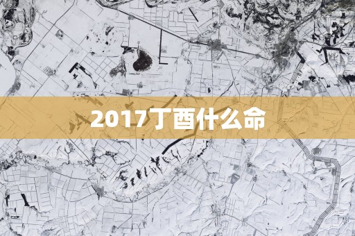 2017丁酉什么命