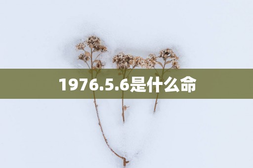 1976.5.6是什么命