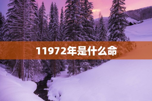 11972年是什么命