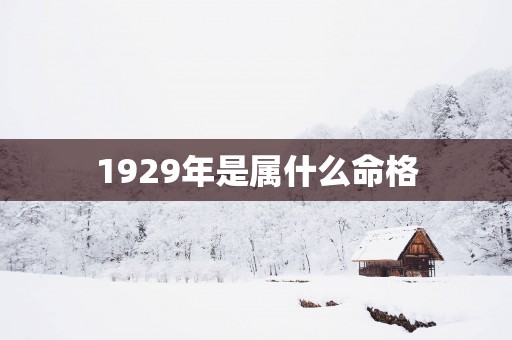 1929年是属什么命格