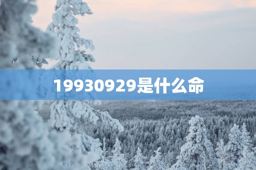 19930929是什么命