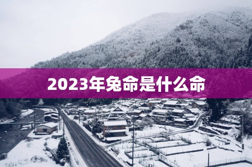 2025年兔命是什么命
