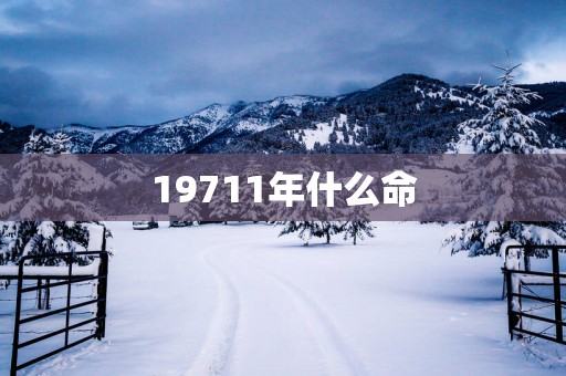 19711年什么命