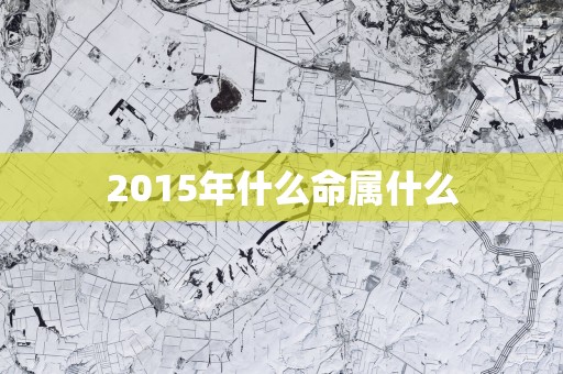 2015年什么命属什么