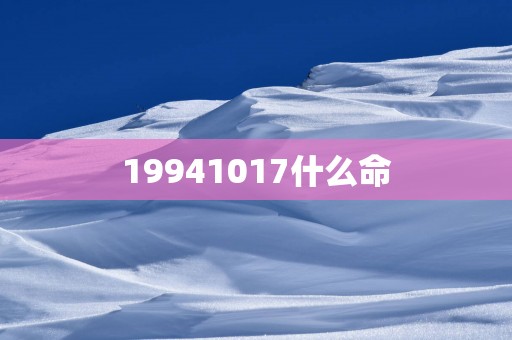 19941017什么命