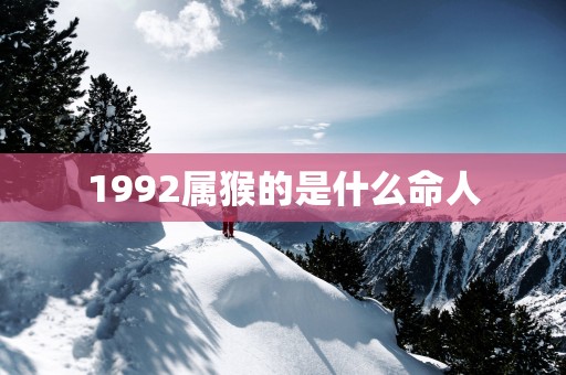 1992属猴的是什么命人