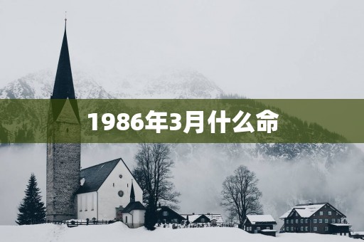 1986年3月什么命
