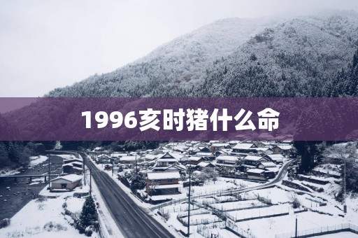 1996亥时猪什么命