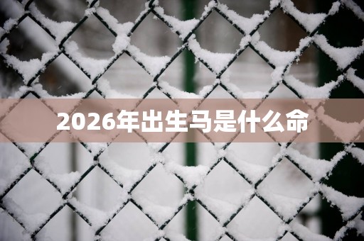 2026年出生马是什么命