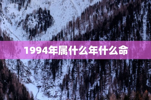 1994年属什么年什么命