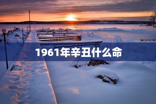 1961年辛丑什么命