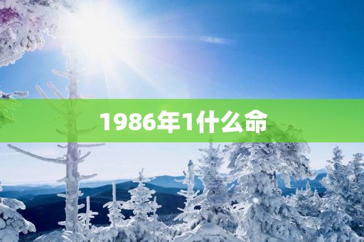1986年1什么命