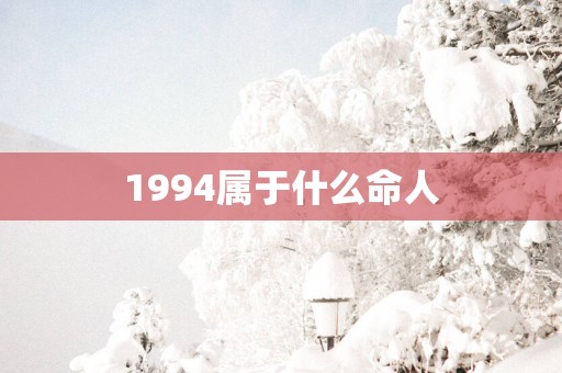 1994属于什么命人