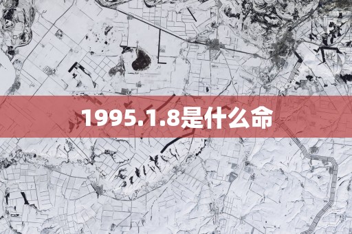 1995.1.8是什么命