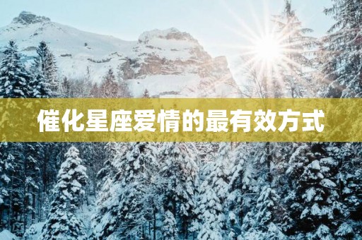 催化星座爱情的最有效方式