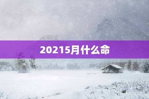 20255月什么命