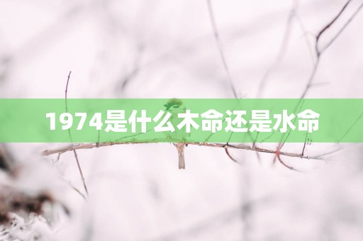 1974是什么木命还是水命