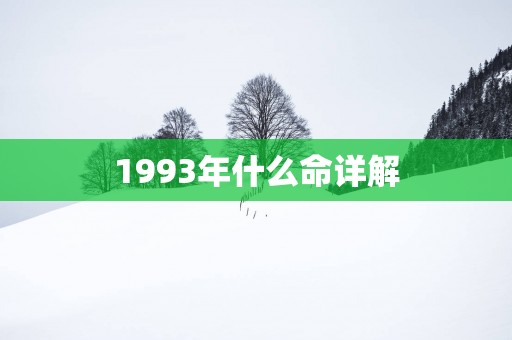 1993年什么命详解