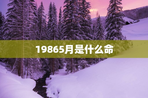 19865月是什么命