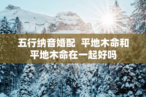 五行纳音婚配  平地木命和平地木命在一起好吗
