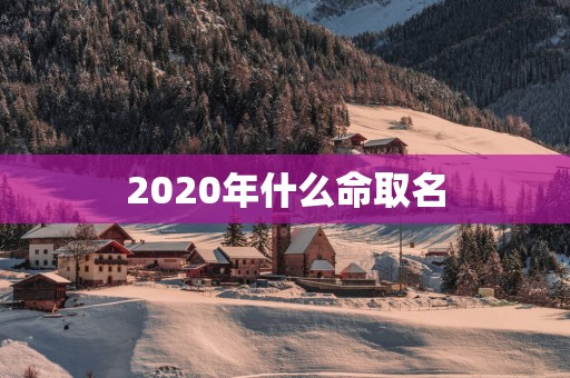 2025年什么命取名