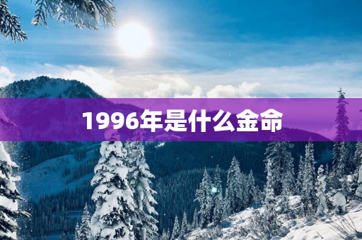 1996年是什么金命