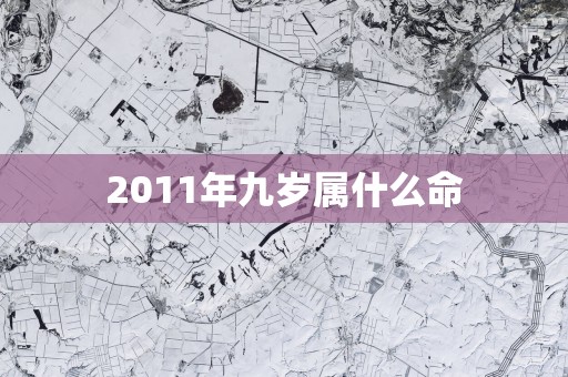 2011年九岁属什么命