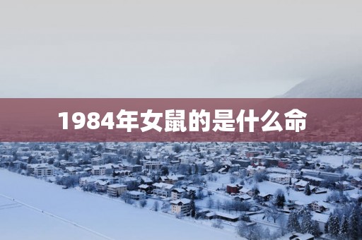 1984年女鼠的是什么命