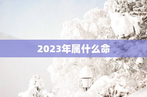 2025年属什么命