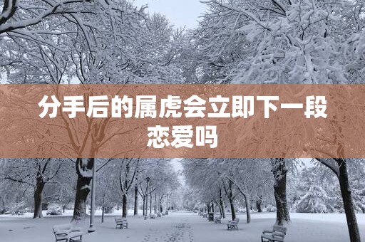 分手后的属虎会立即下一段恋爱吗