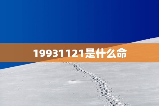 19931121是什么命