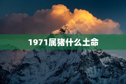 1971属猪什么土命